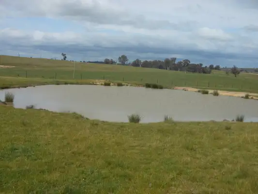 Fourth view of Homely rural property listing, 1024 Geegullalong Road, Young NSW 2594