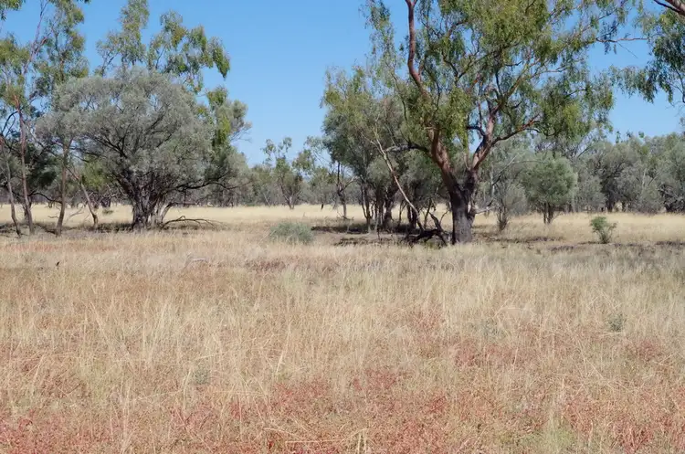 Fifth view of Homely rural property listing, ' Burkobulla ', Quilpie QLD 4480