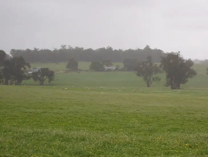Third view of Homely rural property listing, Lot 5 Westbourne Rd, Scotts Brook, Boyup Brook WA 6244
