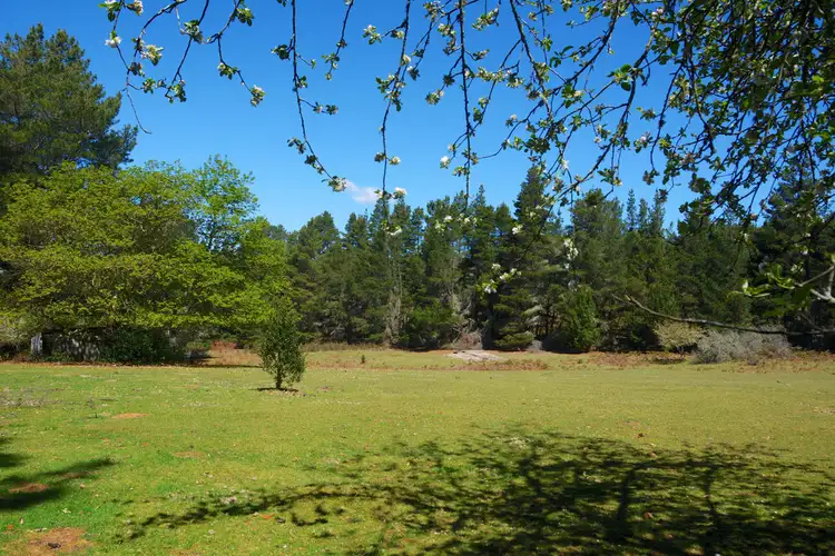 Fourth view of Homely rural property listing, Lot 1, 41-69 Mount Blackheath Road, Blackheath NSW 2785