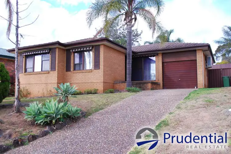 10 Hewitt Place, Minto NSW 2566