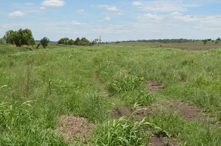 Third view of Homely rural property listing, 1859 Pittsworth-Felton Road, Felton QLD 4358