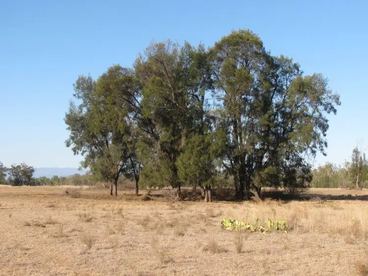 Fourth view of Homely rural property listing, 81 Yarranabee Rd, Baan Baa NSW 2390