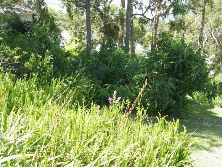 Second view of Homely land listing, 24 Whitbread Drive, Lemon Tree Passage NSW 2319