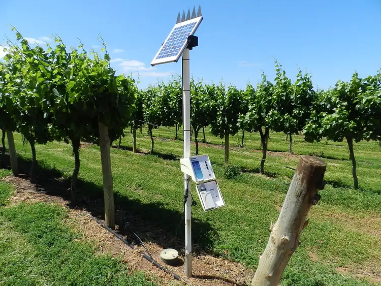 Third view of Homely rural property listing, 57 Old Sturt Highway, Barmera SA 5345