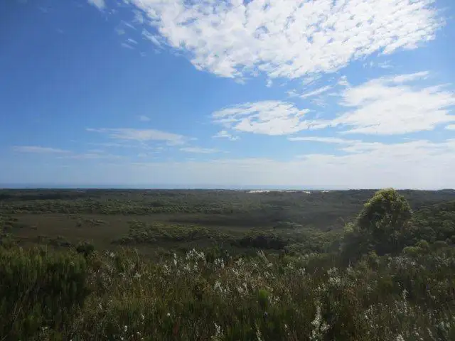Fourth view of Homely land listing, 0 Henty Road, Zeehan TAS 7469