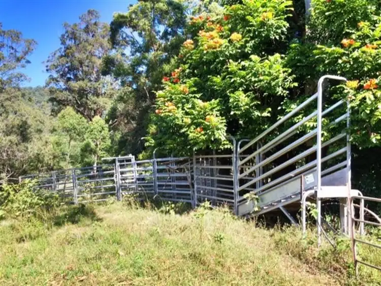 Sixth view of Homely rural property listing, 48 Kirkland Road, Nimbin NSW 2480