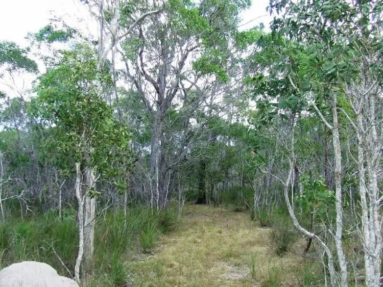 Fifth view of Homely rural property listing, lot 221 Murphy Road, Captain Creek QLD 4677