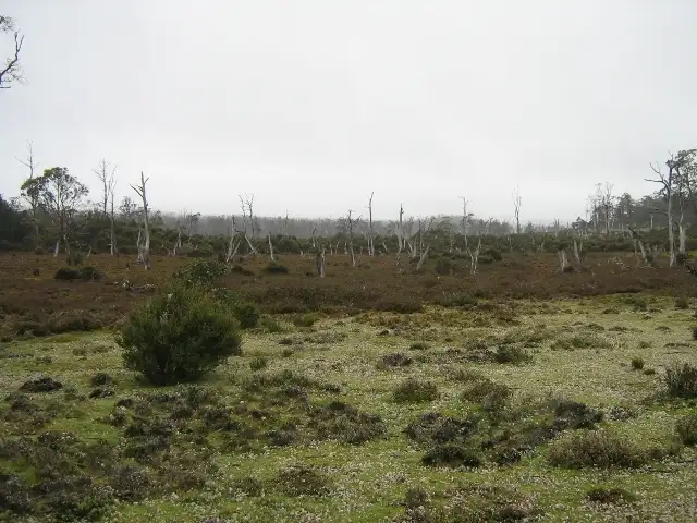 Seventh view of Homely rural property listing, 3744 Cradle Mountain Road, Cradle Mountain TAS 7306