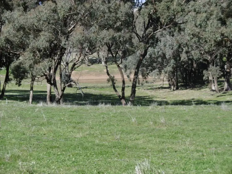 Third view of Homely rural property listing, - Gowan Hills, Wirrabara SA 5481