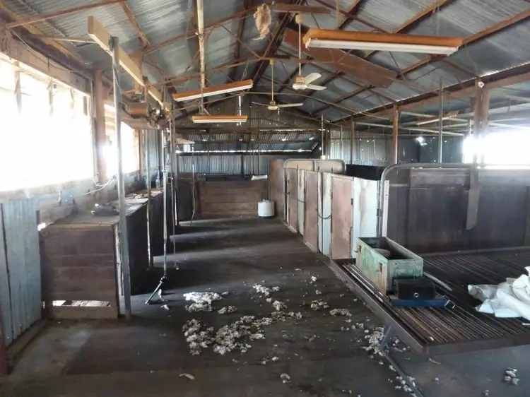 Fifth view of Homely rural property listing, 2872 Mollerin Rock South Rd, Lake Margarette WA 6475