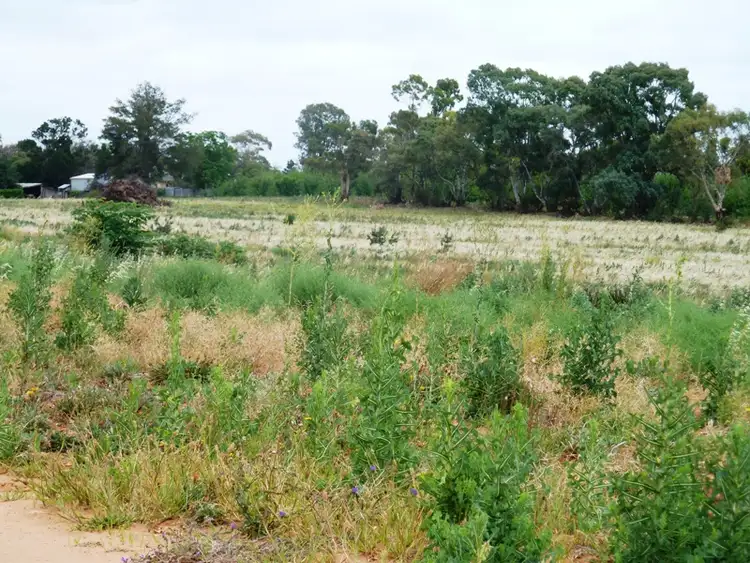 Seventh view of Homely land listing, 2 Bookpurnong Road, Loxton SA 5333