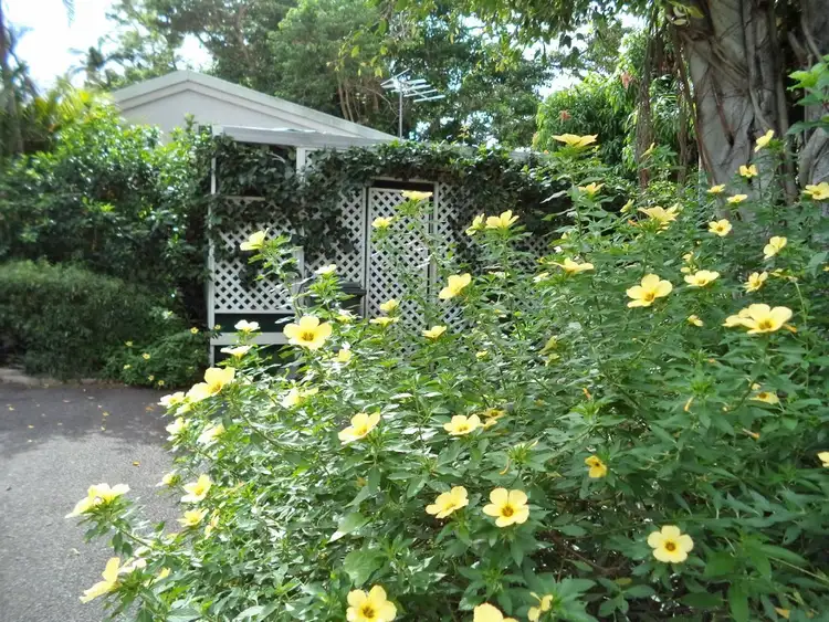 Third view of Homely studio listing, 7/31 Miles Street, Manoora QLD 4870