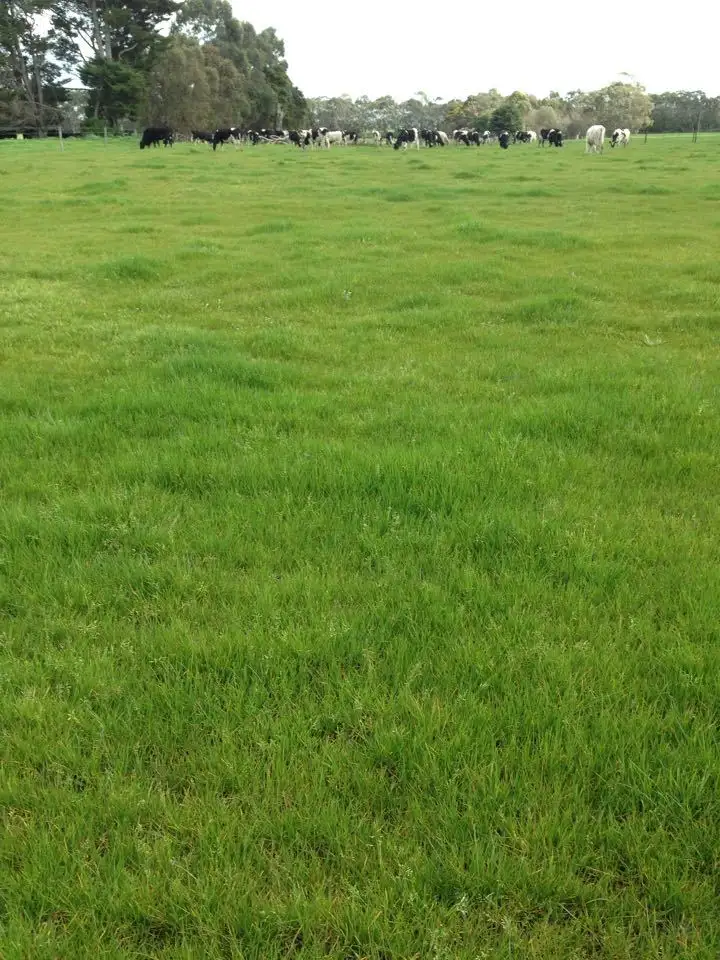 Fifth view of Homely rural property listing, 489 Howards Road, Garvoc VIC 3265