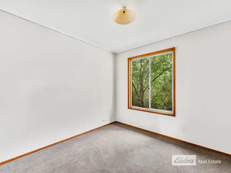 Sixth view of Homely house listing, 21 Emily Street, Millicent SA 5280