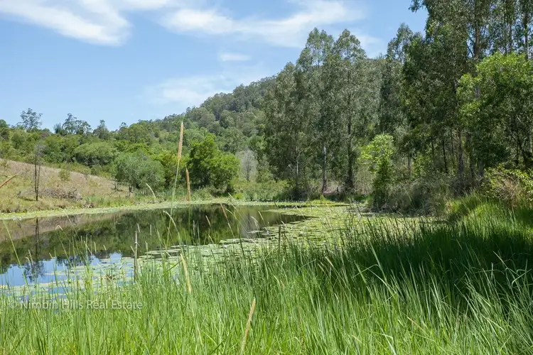 Fifth view of Homely rural property listing, 357 Stony Chute Road, Nimbin NSW 2480