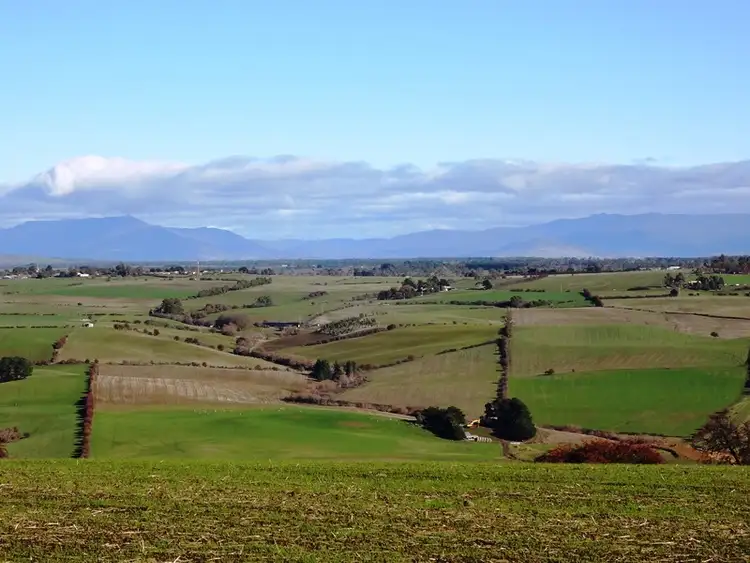 Fourth view of Homely rural property listing, 195 White Hills Road, White Hills TAS 7258