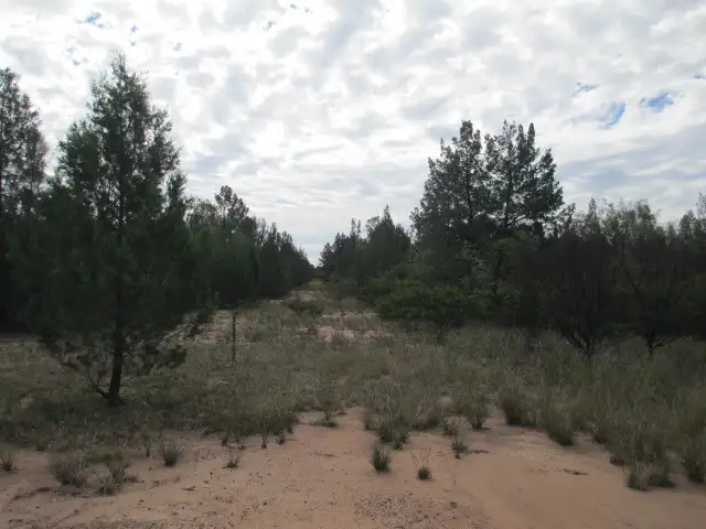 LOT 35 BISLEY ROAD, Tara QLD 4421