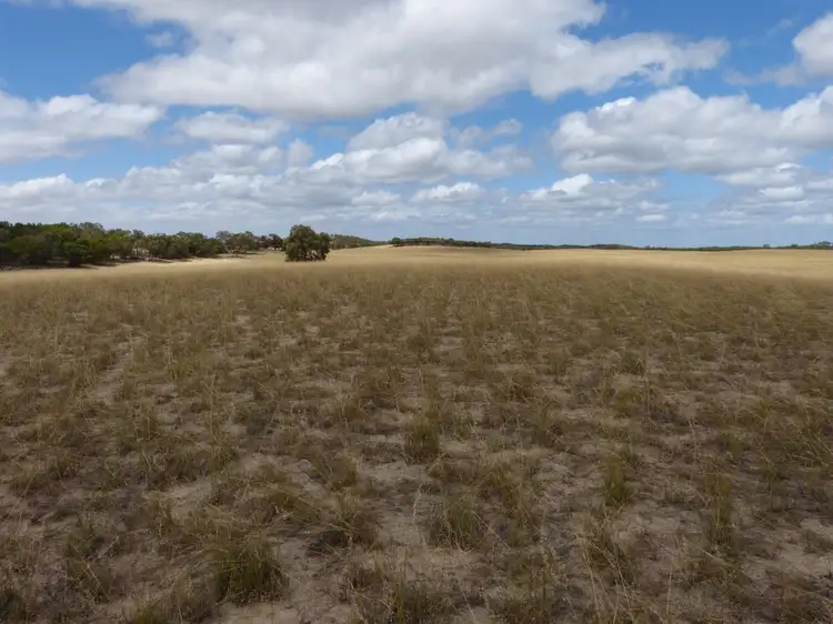Fifth view of Homely rural property listing, 1845 Pinnaroo-Bordertown Rd, Pinnaroo SA 5304