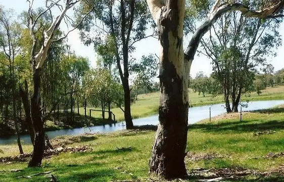 Seventh view of Homely rural property listing, Address available on request