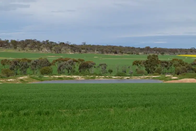 200 Slater Rd, Walyormouring, near, Goomalling WA 6460