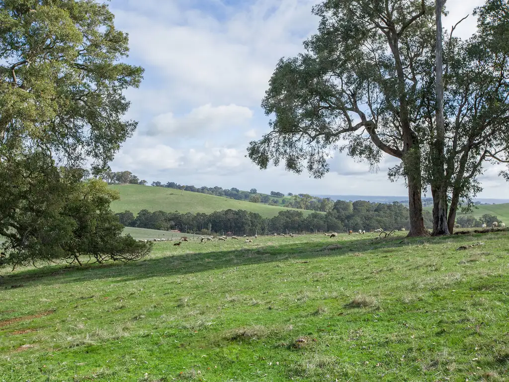 Main view of Homely rural property listing, 65 MARTIN ROAD, Mornington WA 6221