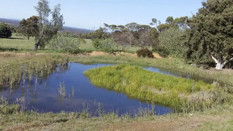 Sixth view of Homely rural property listing, 464 Woodlands Road, Porongurup WA 6324