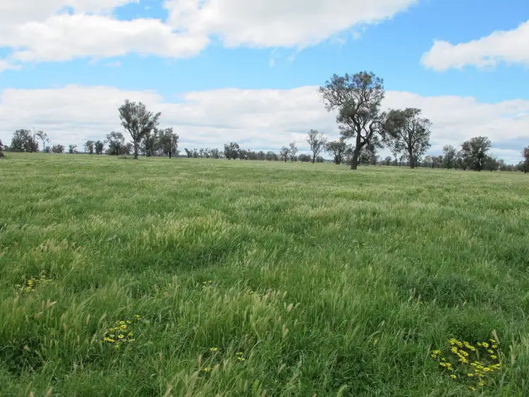 Sixth view of Homely rural property listing, 175 Noradjuha Tooan East Road, Horsham VIC 3400