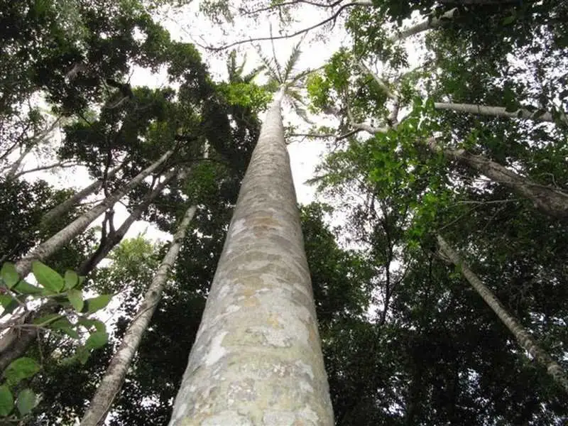 Main view of Homely land listing, Address available on request