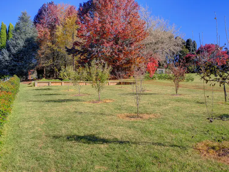 Sixth view of Homely land listing, 38 Hoddle Street, Burrawang NSW 2577