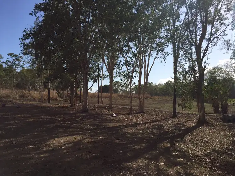 Fifth view of Homely land listing, 411 Mangrove Road, Woodwark QLD 4802