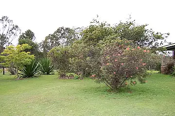 Seventh view of Homely rural property listing, 5483 Bruxner Highway, MUMMULGUM via, Casino NSW 2470