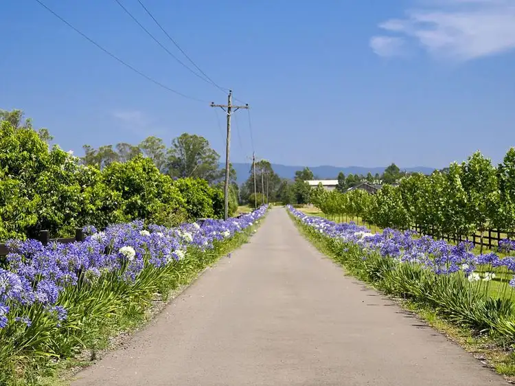 Fourth view of Homely rural property listing, Address available on request