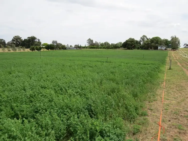 Third view of Homely rural property listing, 2619 Murray Valley Highway, Cobram East VIC 3644