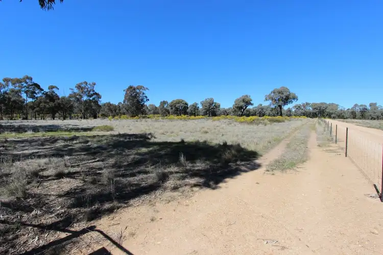 Third view of Homely rural property listing, 913 Thanowring Road, Temora NSW 2666