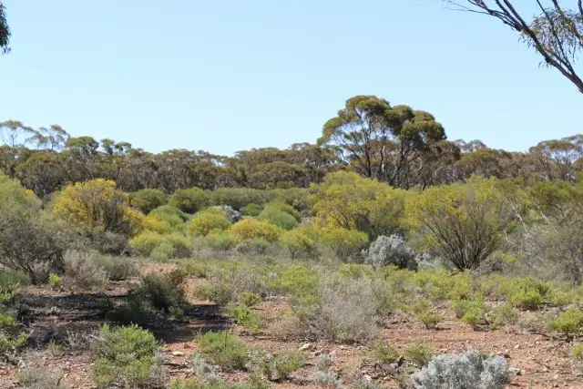 Fourth view of Homely land listing, Lot 10 Winter Road, Bower SA 5374