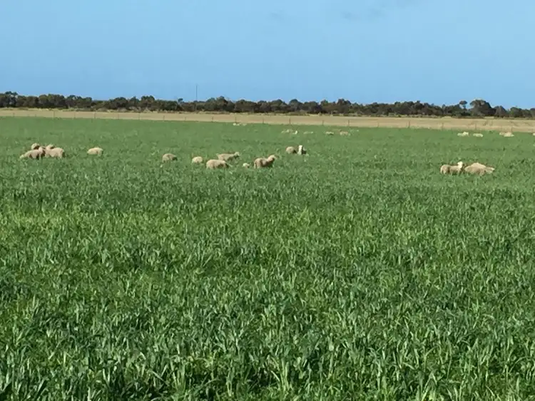 Main view of Homely land listing, Lot 1 Mine Hill Road, Tumby Bay SA 5605