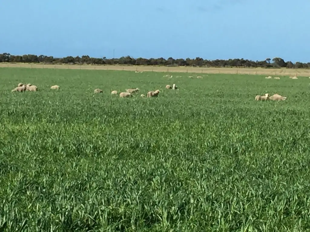 Main view of Homely land listing, Lot 1 Mine Hill Road, Tumby Bay SA 5605