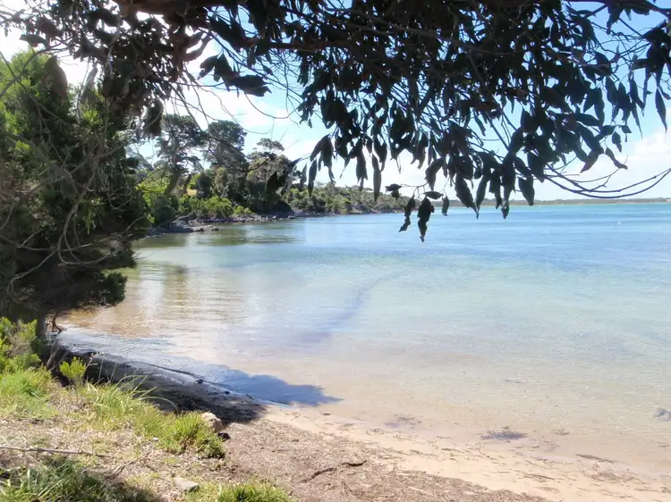 Seventh view of Homely rural property listing, 158 BADGER CORNER ROAD, Lady Barron TAS 7255