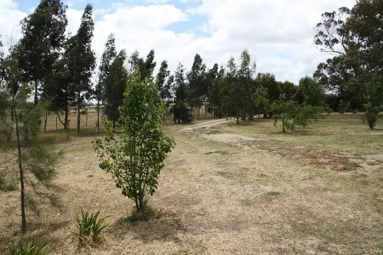 Third view of Homely rural property listing, 1020 Boddington West Road, Naracoorte SA 5271