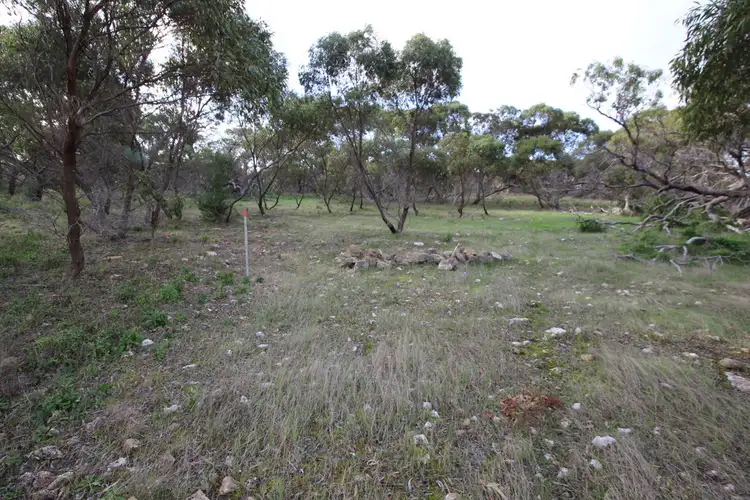 Seventh view of Homely land listing, Lot 107 Wallace Court, Coulta SA 5607