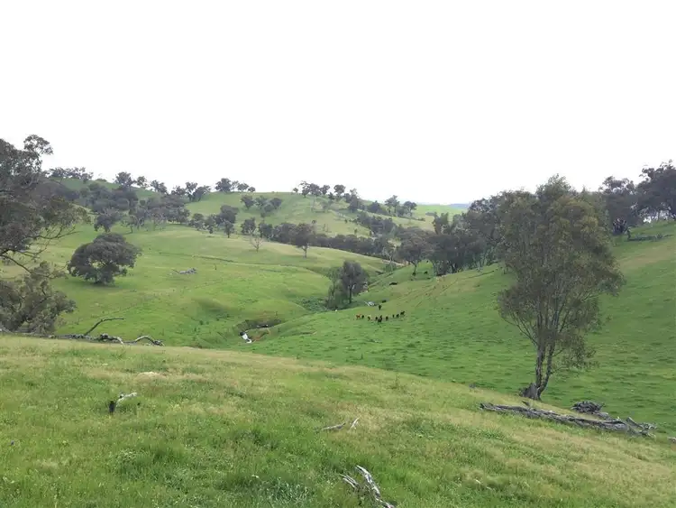 Second view of Homely rural property listing, 3938 Snowy Mountains Highway, Adelong NSW 2729