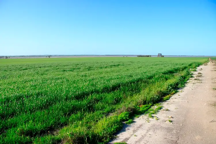 Seventh view of Homely rural property listing, - Lakeside, Corrigin WA 6375