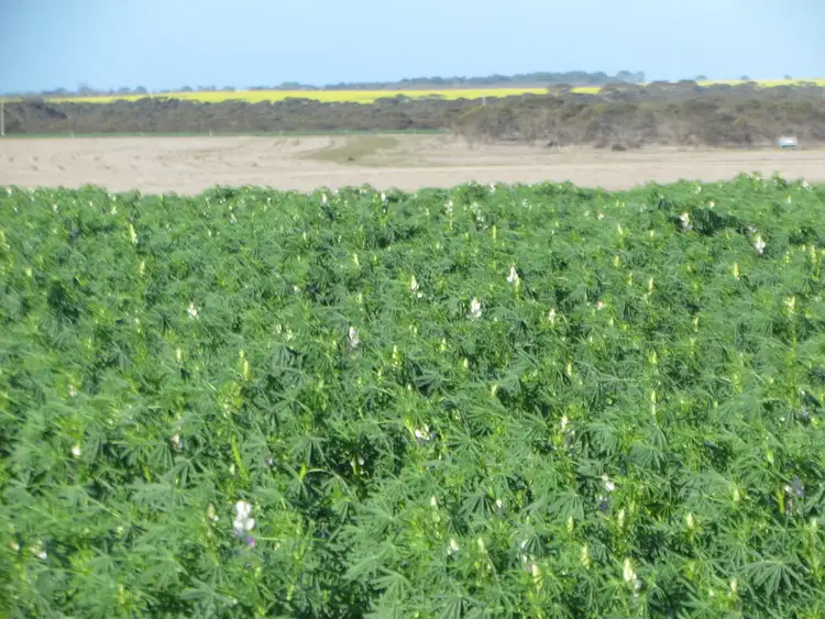 Third view of Homely rural property listing, Lot 153 Hopetoun-Ravensthorpe Rd, Hopetoun WA 6348