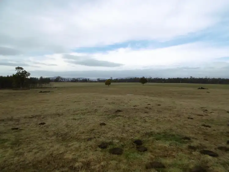 Seventh view of Homely rural property listing, 519 Felmingham Road, Parkham TAS 7304
