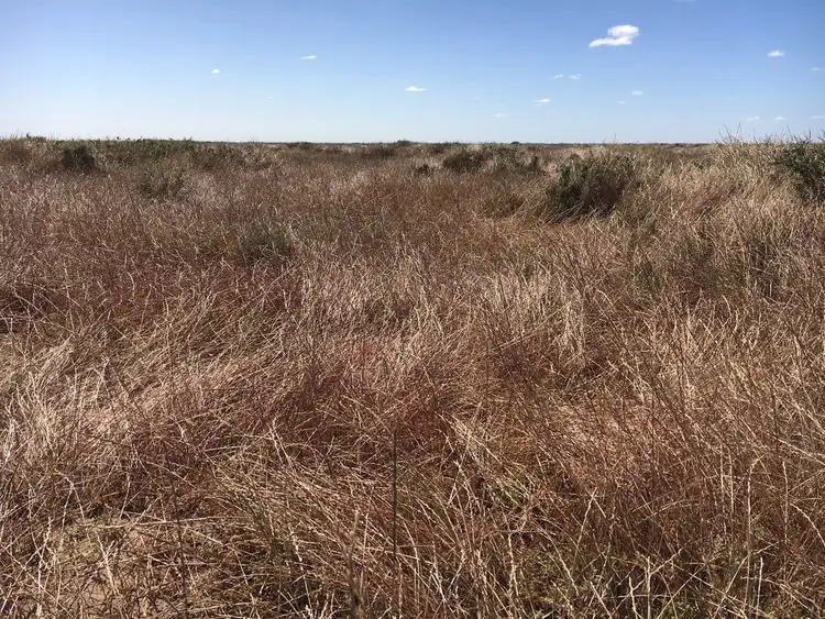 Second view of Homely rural property listing, Address available on request