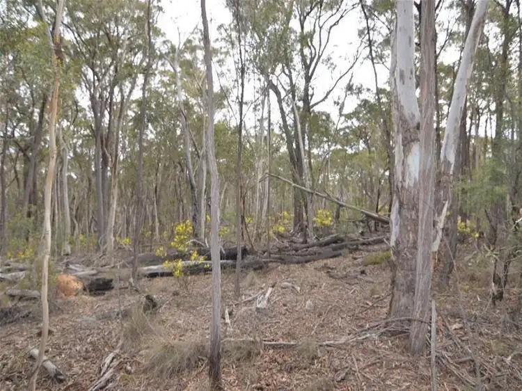 6320 Ilford Sofala Road, Sofala NSW 2795