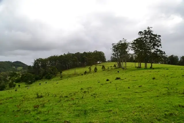 Fourth view of Homely rural property listing, Lot 107 Costigans Road, Yarras NSW 2446