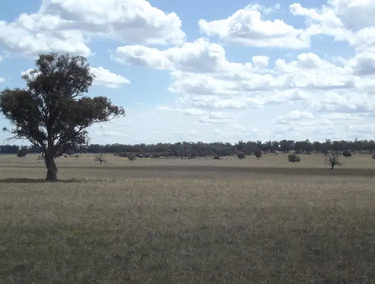 Seventh view of Homely rural property listing, 3261 The McGrane Way, Tullamore NSW 2874