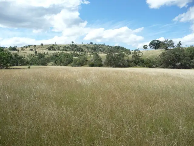 Sixth view of Homely rural property listing, 2782 SILENT GROVE ROAD, Tenterfield NSW 2372